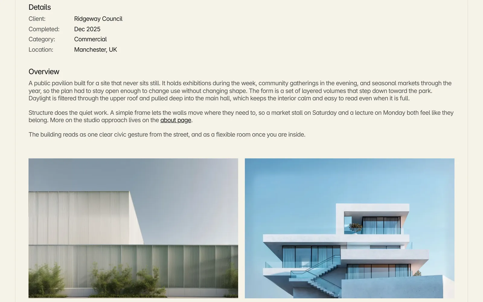 Pandya Infra project case-study page